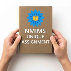 Nmims Assignment DEC 2025